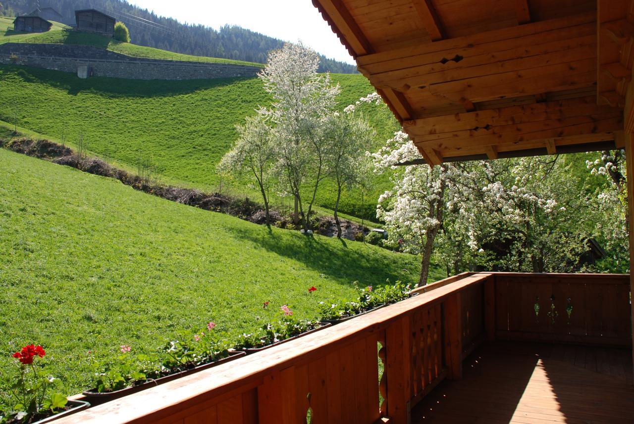 Blaserhof Hainzenberg Rum bild