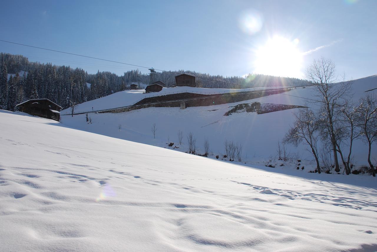 Blaserhof Hainzenberg Rum bild
